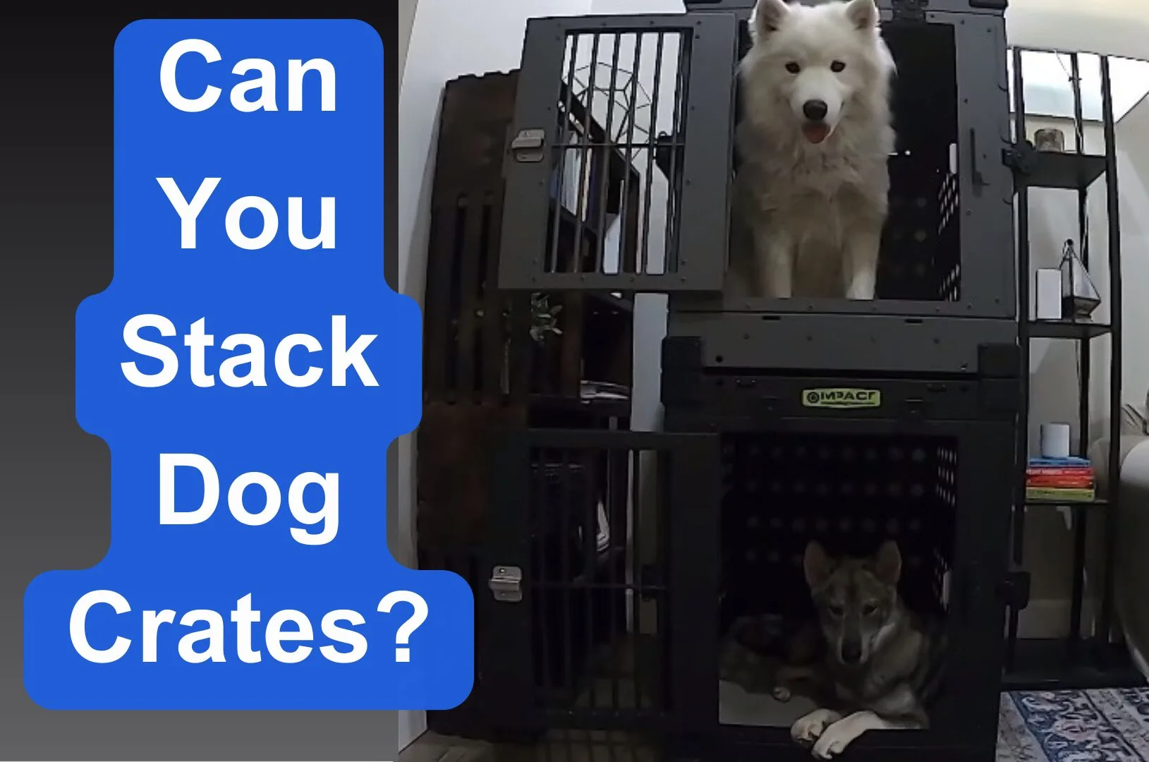 can you stack dog crates