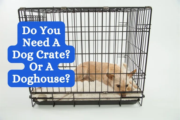 Do You Need A Dog Crate? or a Dog House?