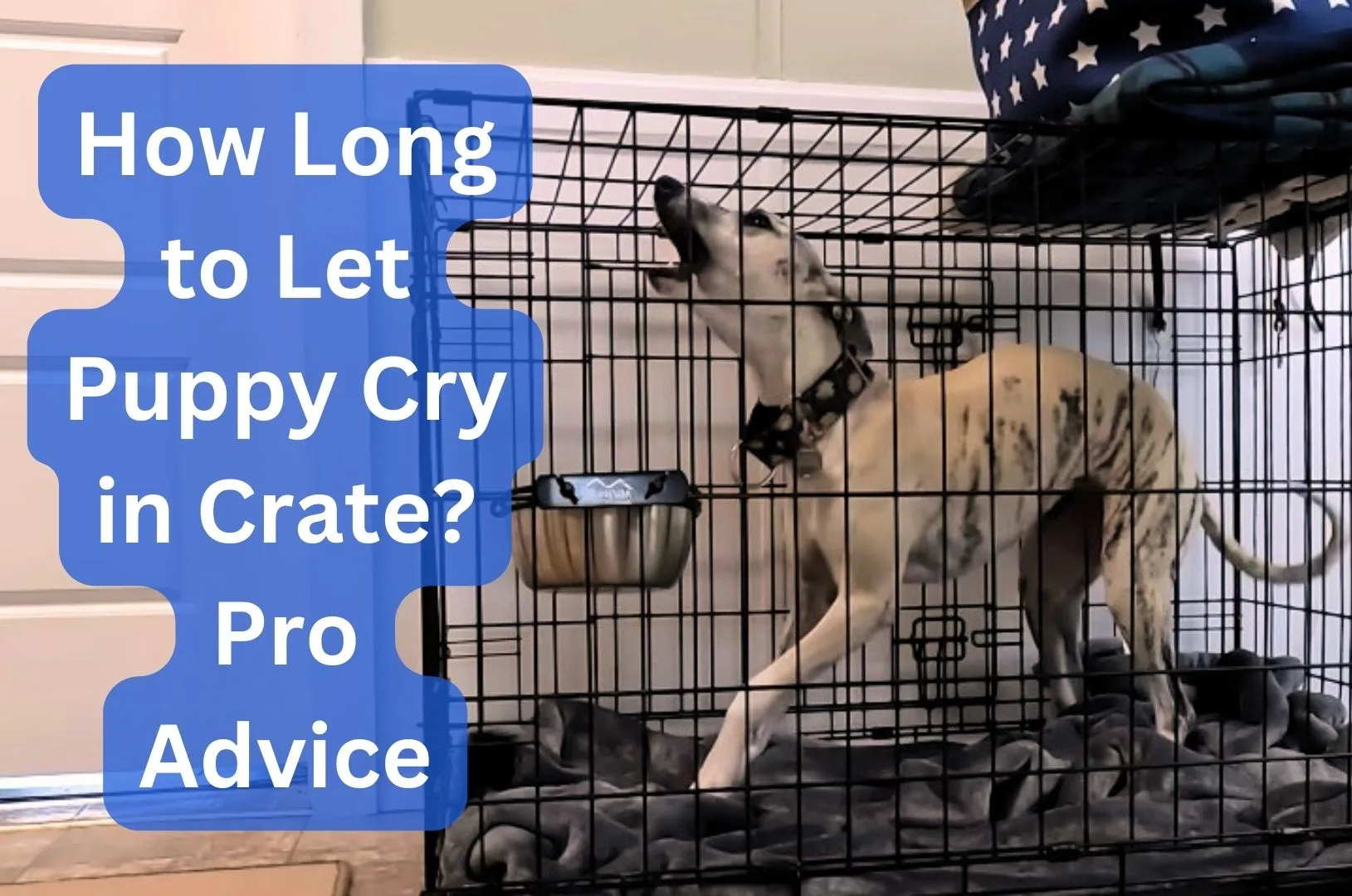 How Long to Let Puppy Cry in Crate
