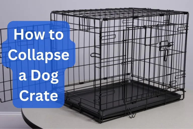How to Collapse a Dog Crate Easily – 6 Simple Steps