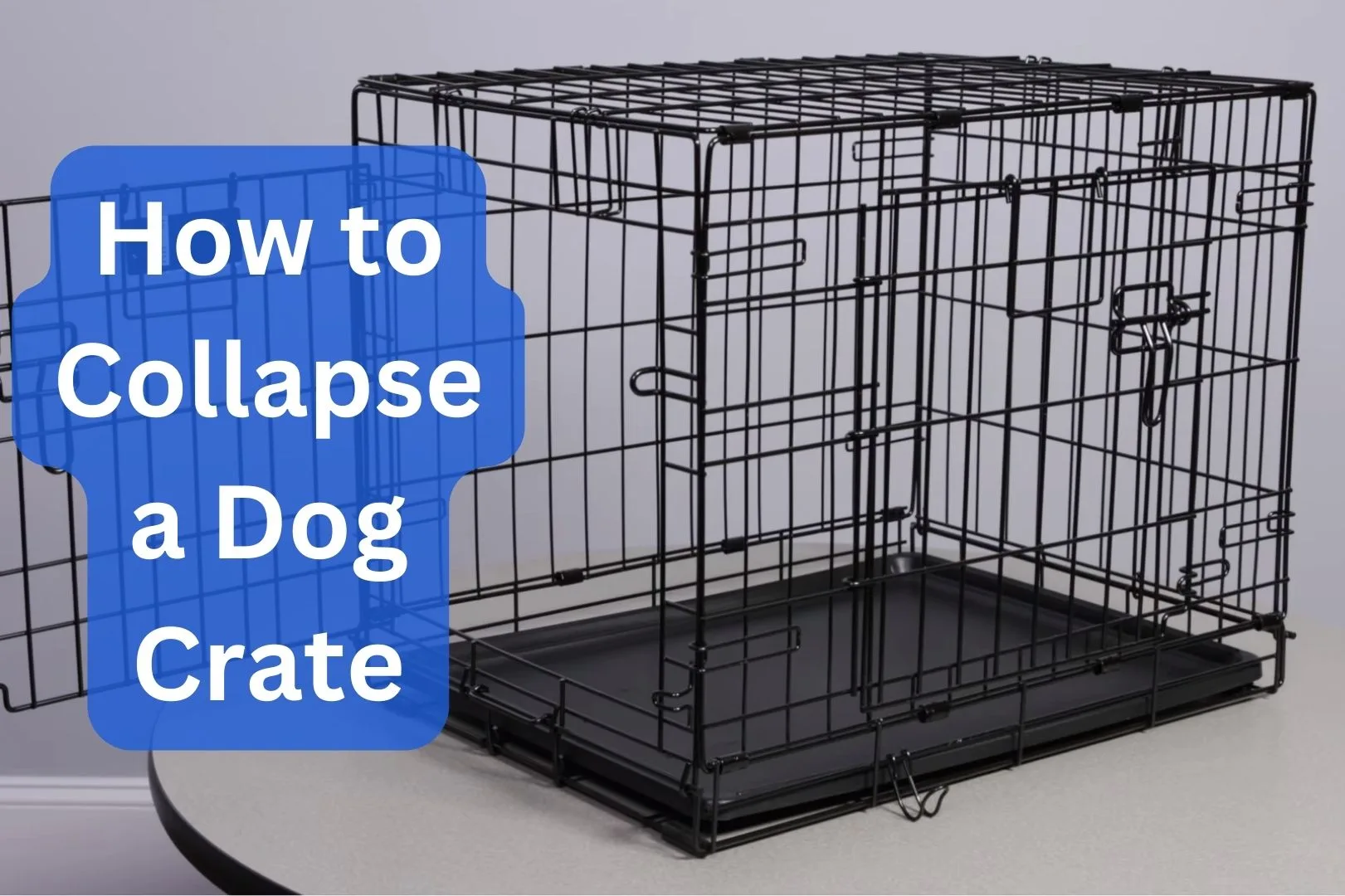 How to Collapse a Dog Crate