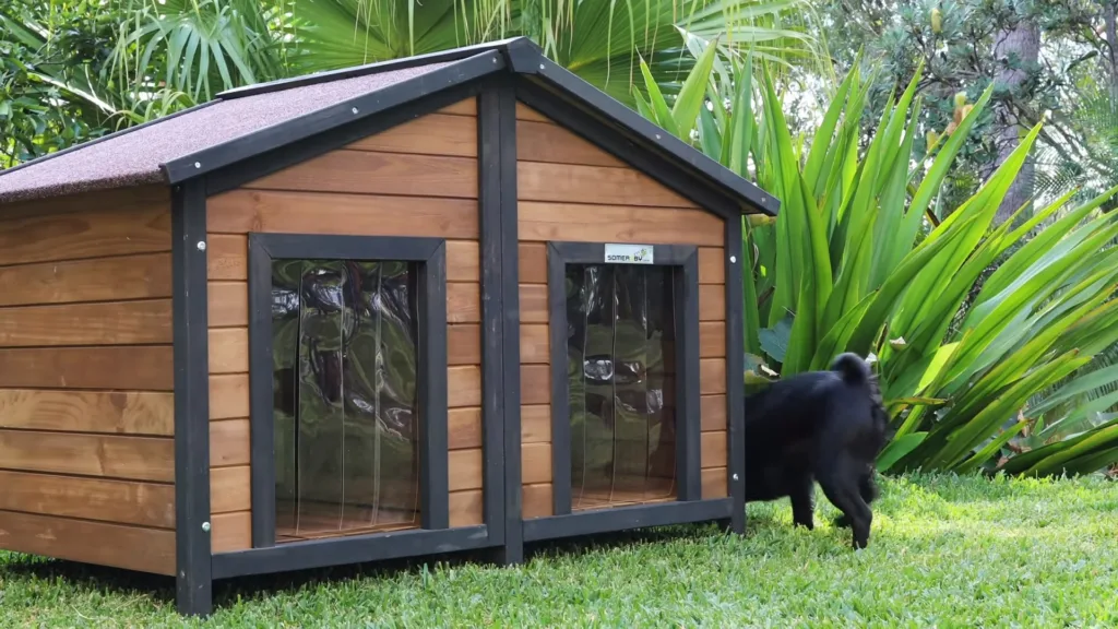 building a dog kennel
