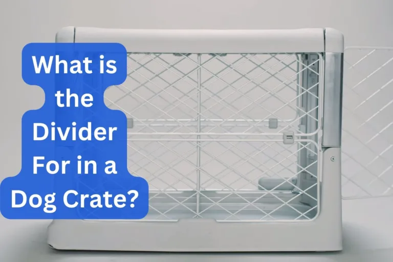 What Is the Divider for in a Dog Crate? Explained!
