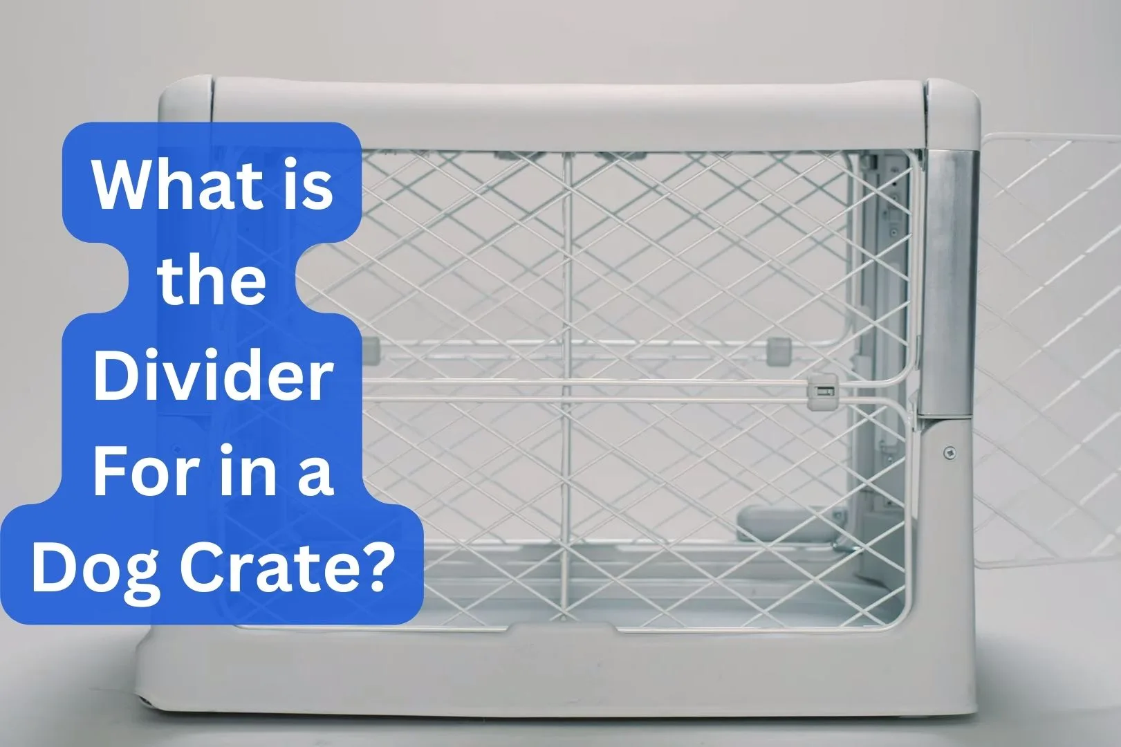 what is the divider for in a dog crate