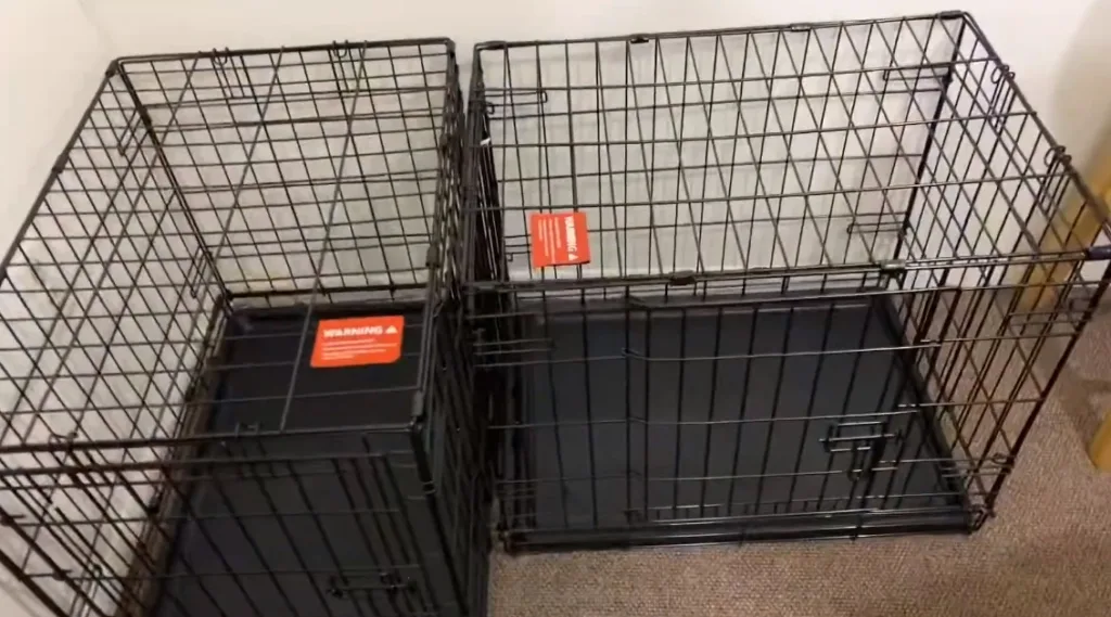 can dogs share a crate