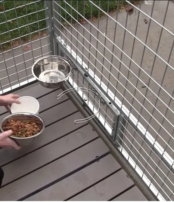 cleaning a dog kennel