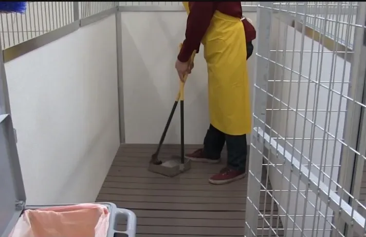 cleaning a dog crate