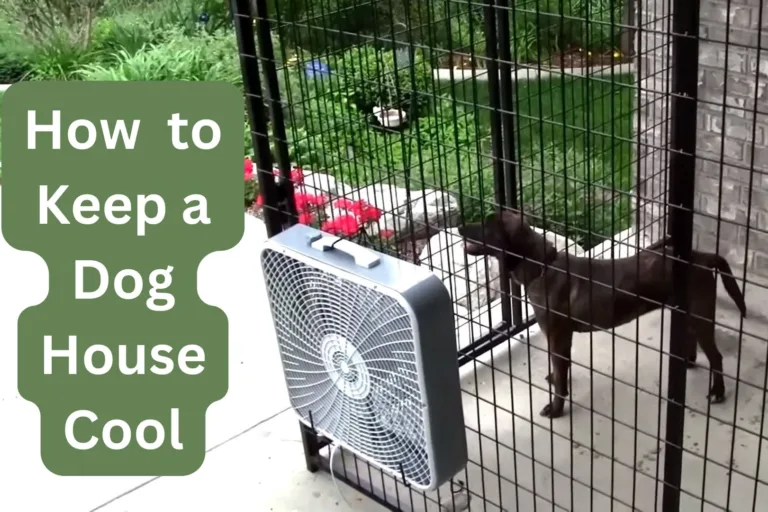 9 Creative and Effective Dog House Ventilation Solutions