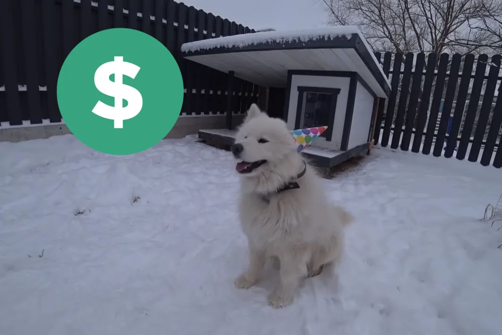 how much does it cost to build a dog house