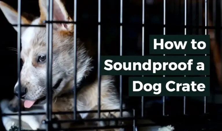 How to Soundproof a Dog Crate: 7 Innovative Solutions 