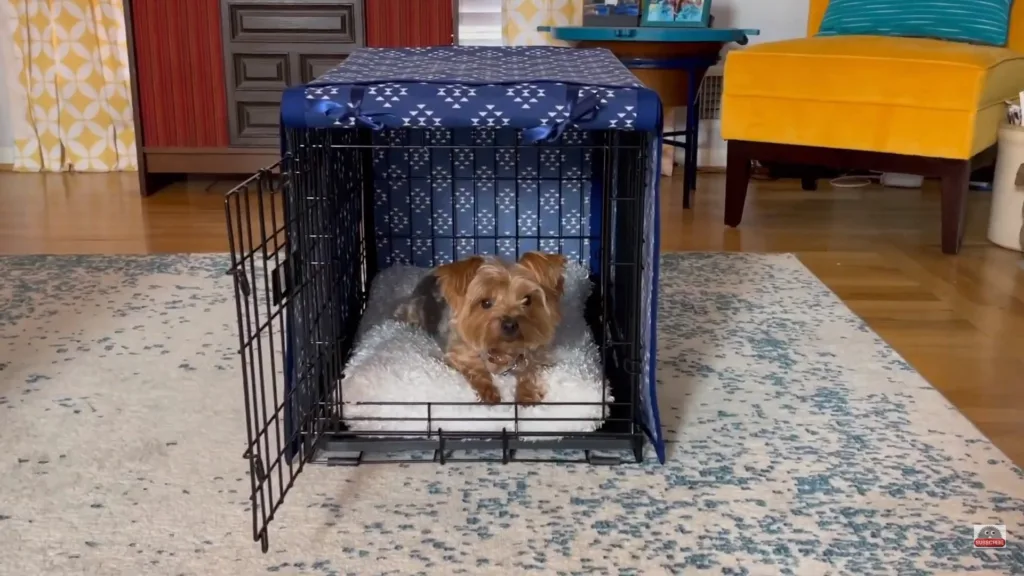 soundproof dog crate