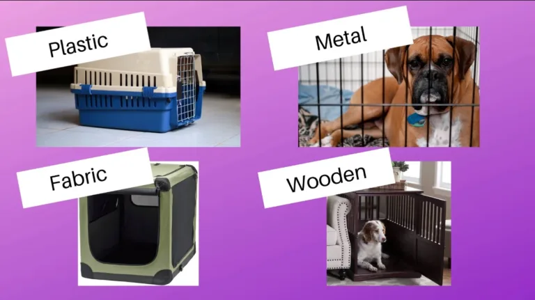 Different Types of Dog Kennels – Exploring The 7 Pawsibilities