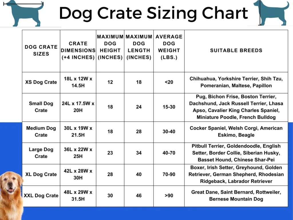 what size crate for my dog