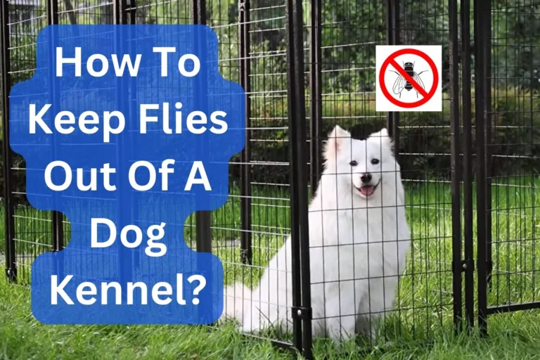 How To Keep Flies Out Of A Dog Kennel