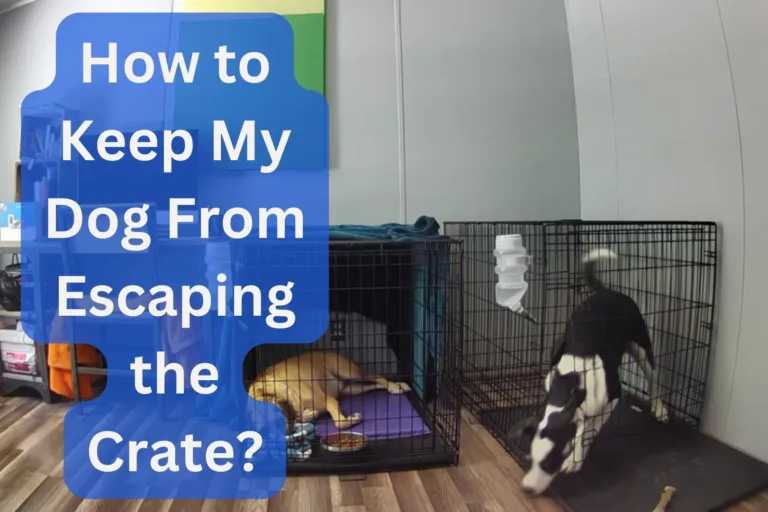 How To Keep My Dog From Escaping The Crate?