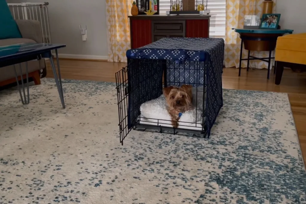 Dog panting in crate