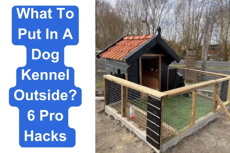 What to put in a dog kennel outside
