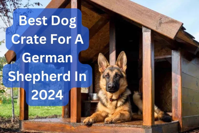 Top 10 Best Dog Crate For A German Shepherd In 2024