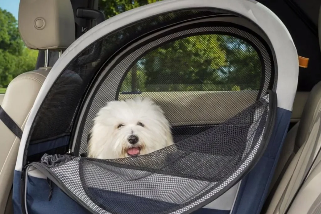 how to secure dog crate in car when traveling