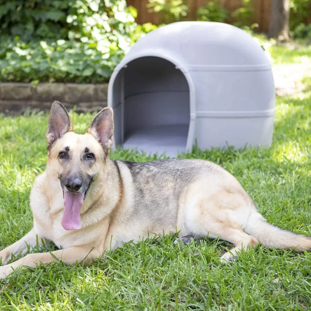 best crate for german shepherd dog
