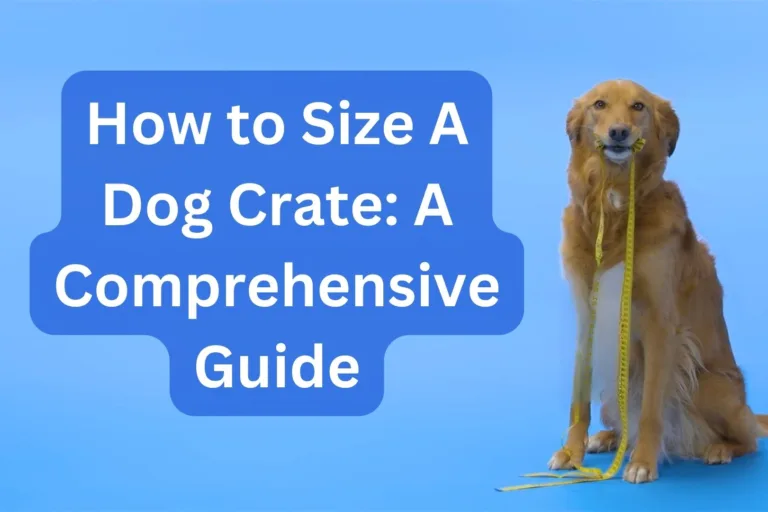 How to Size A Dog Crate: A Comprehensive Guide
