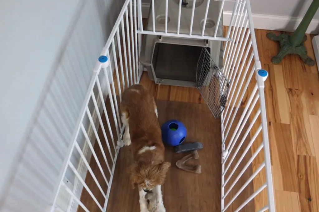 Dog pen and crate combination