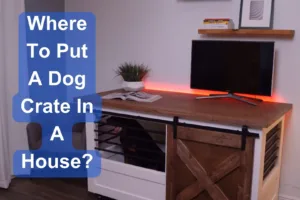 Where To Put A Dog Crate In A House